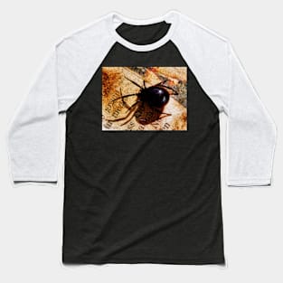 Web Media Baseball T-Shirt